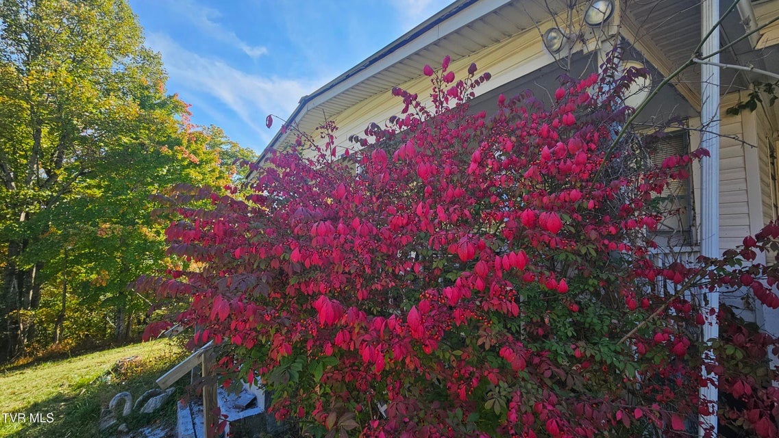 Photo #13: 133 & 181 Forrest View Lane