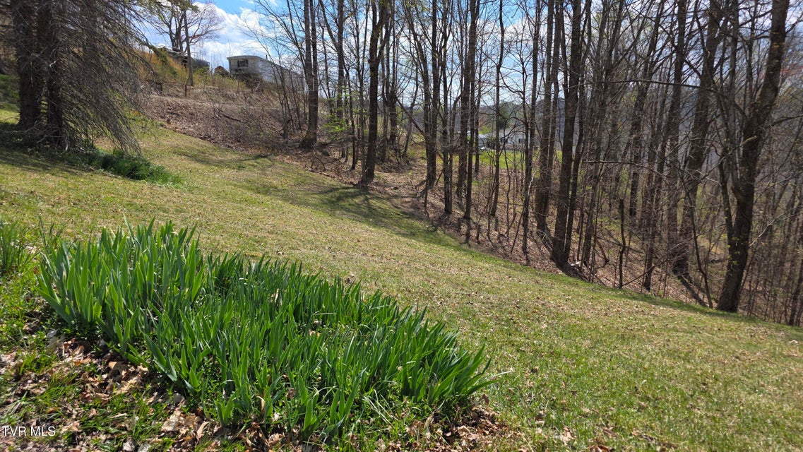 Photo #16: 133 & 181 Forrest View Lane