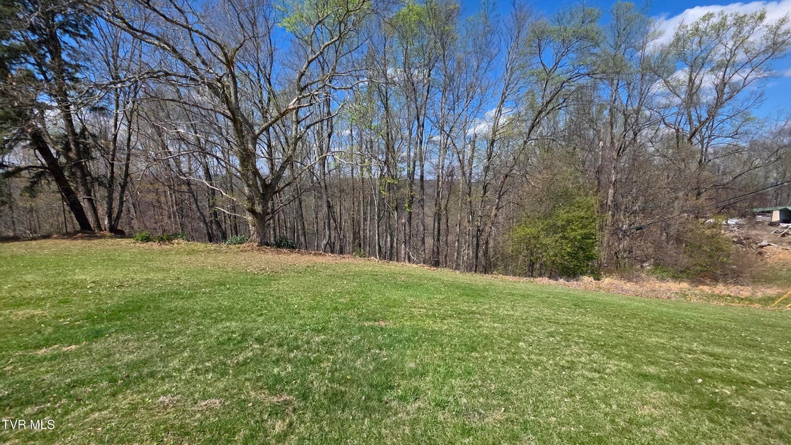 Photo #17: 133 & 181 Forrest View Lane