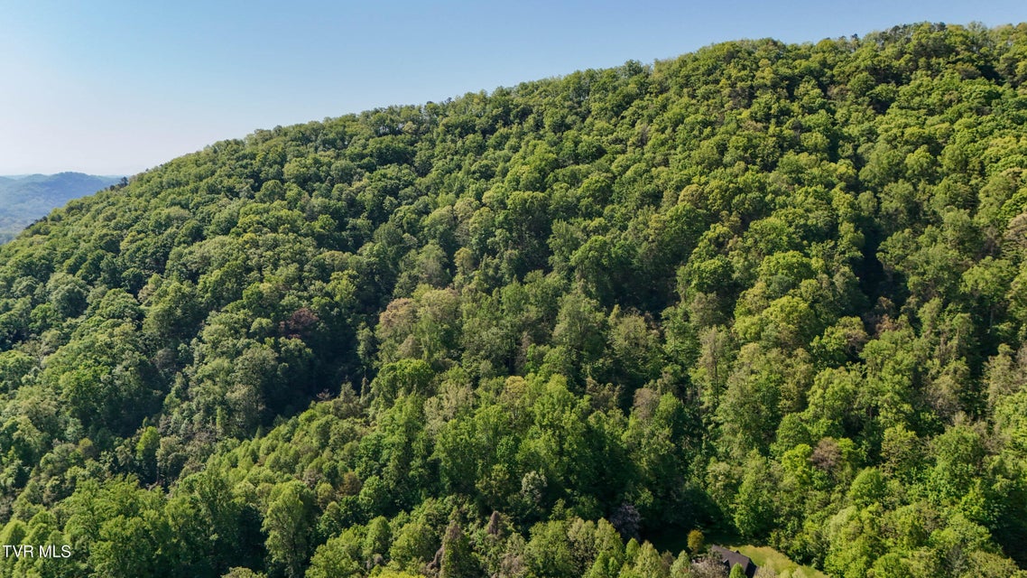 Photo #2: 0 Windover Road