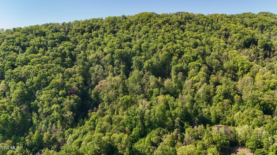 Photo #3: 0 Windover Road