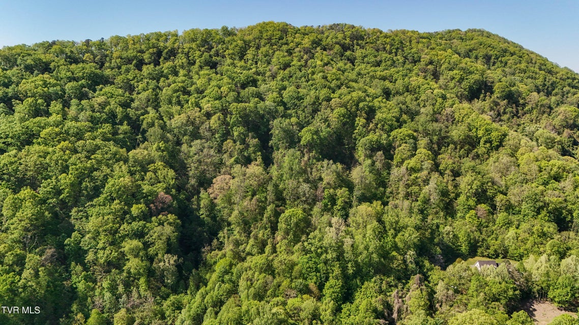 Photo #4: 0 Windover Road