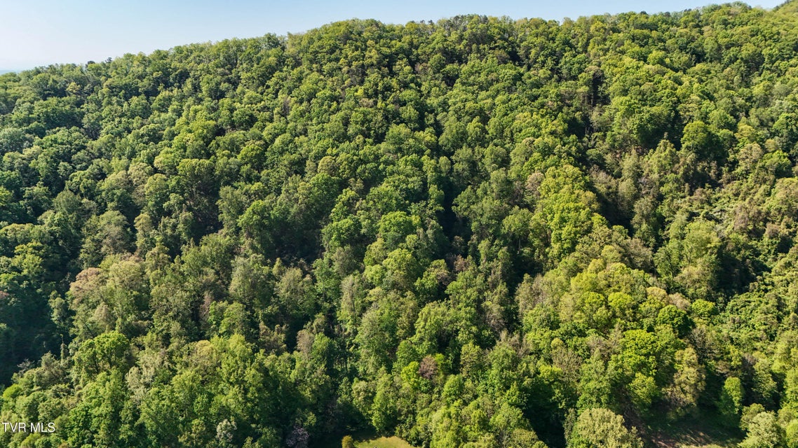 Photo #7: 0 Windover Road