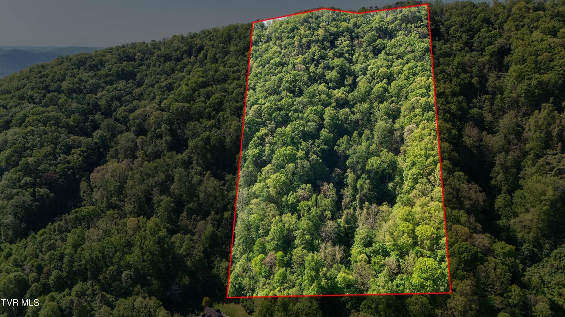 Photo #8: 0 Windover Road