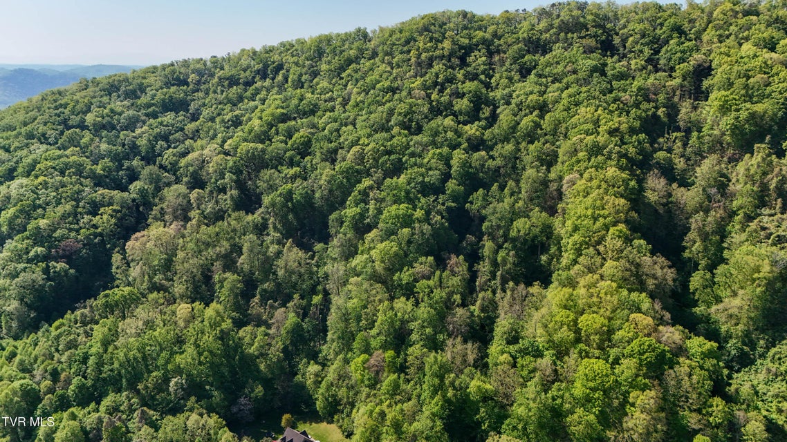 Photo #9: 0 Windover Road