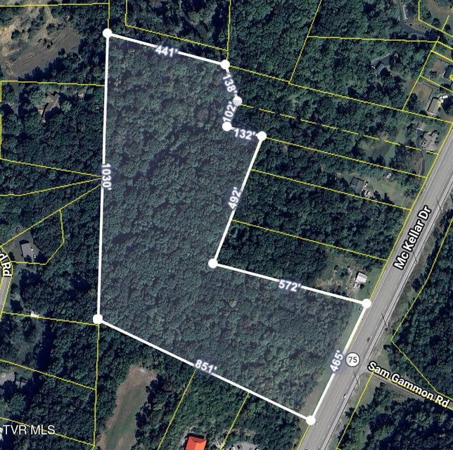 Photo #3: Tbd Highway 75 