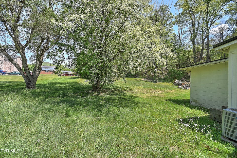 Photo #29: 236 Kermit Road