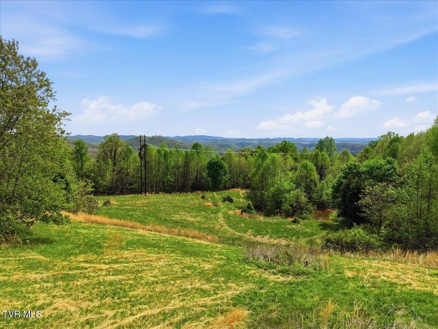 Photo #31: 206 Prospect Road