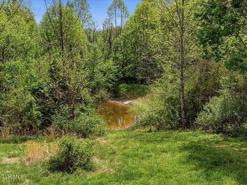 Photo #32: 206 Prospect Road