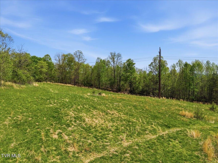 Photo #33: 206 Prospect Road