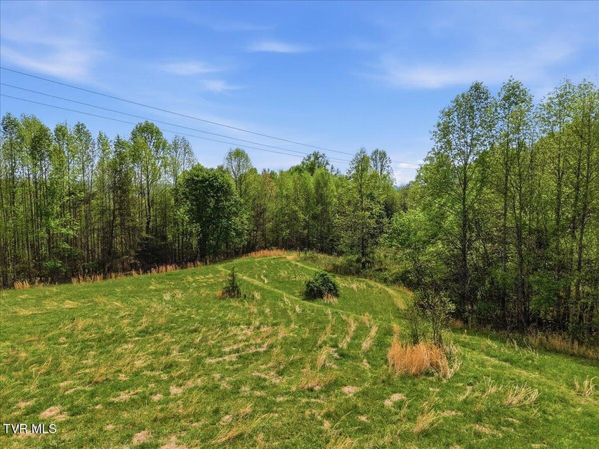 Photo #34: 206 Prospect Road