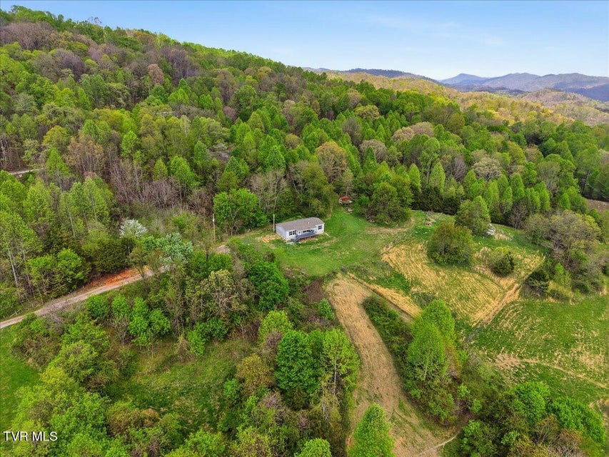 Photo #36: 206 Prospect Road