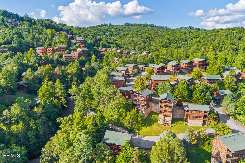 Photo #61: 820 Great Smoky Way