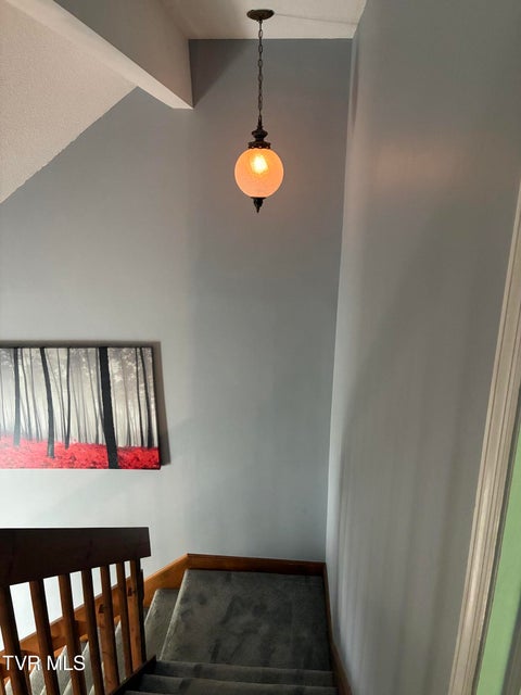 Photo #26: 1833 Presswood Road