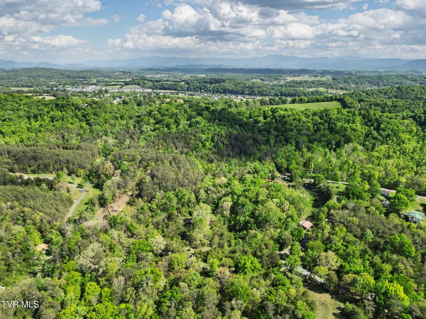 Photo #8: 2424 Midway Road