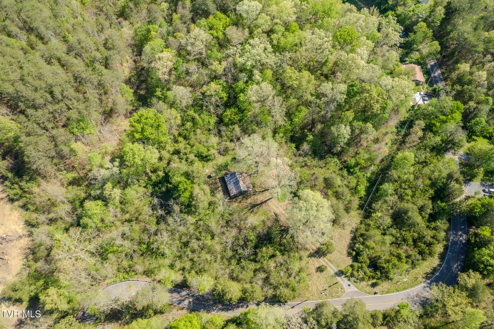 Photo #9: 2424 Midway Road