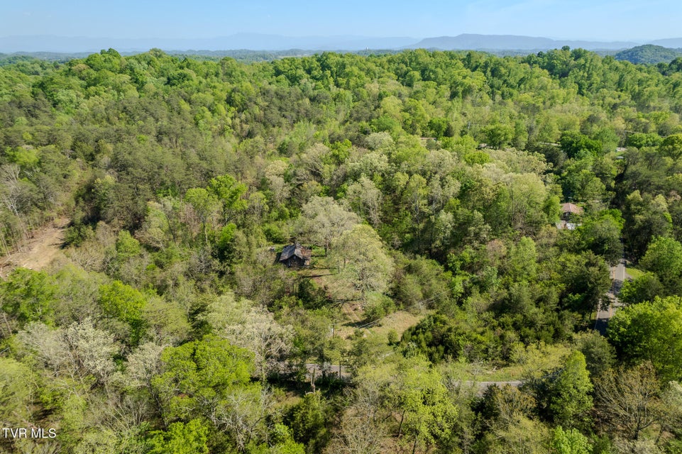 Photo #10: 2424 Midway Road