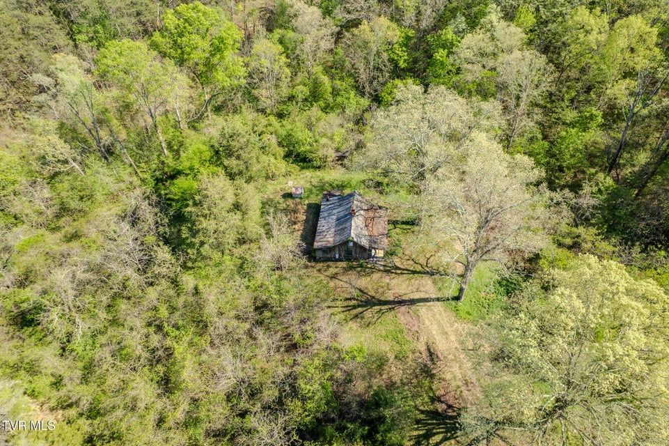 Photo #11: 2424 Midway Road