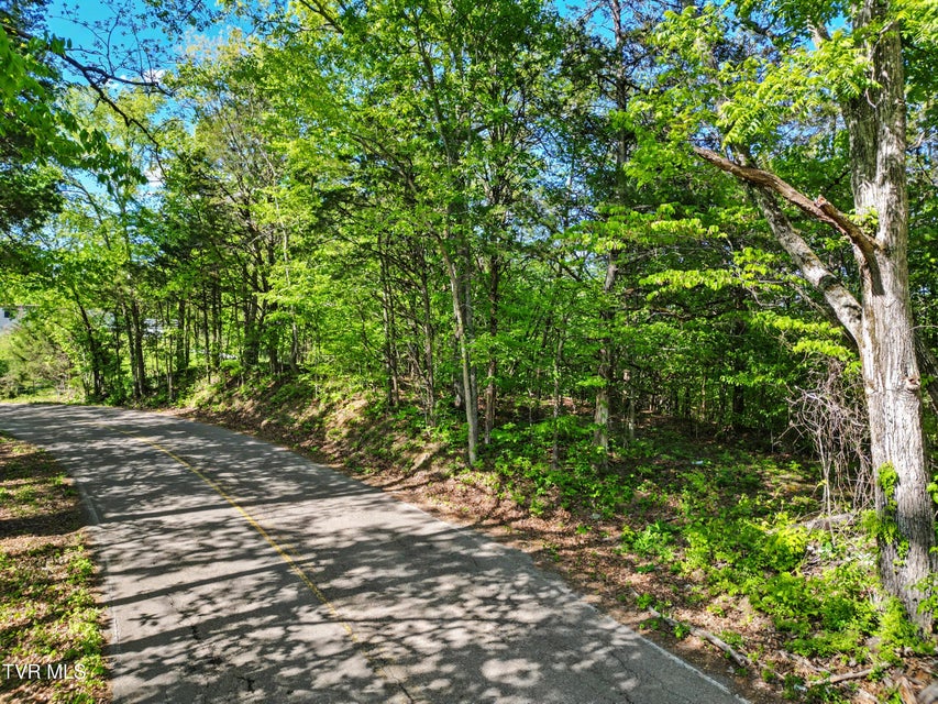 Photo #20: 2424 Midway Road