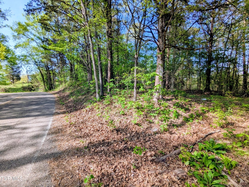 Photo #21: 2424 Midway Road