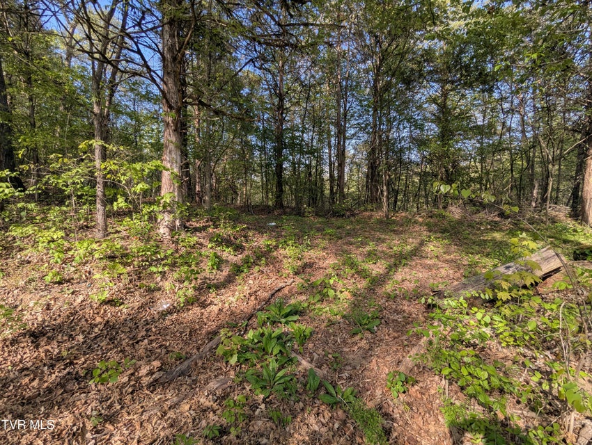 Photo #22: 2424 Midway Road