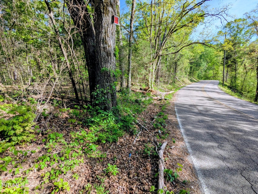 Photo #23: 2424 Midway Road