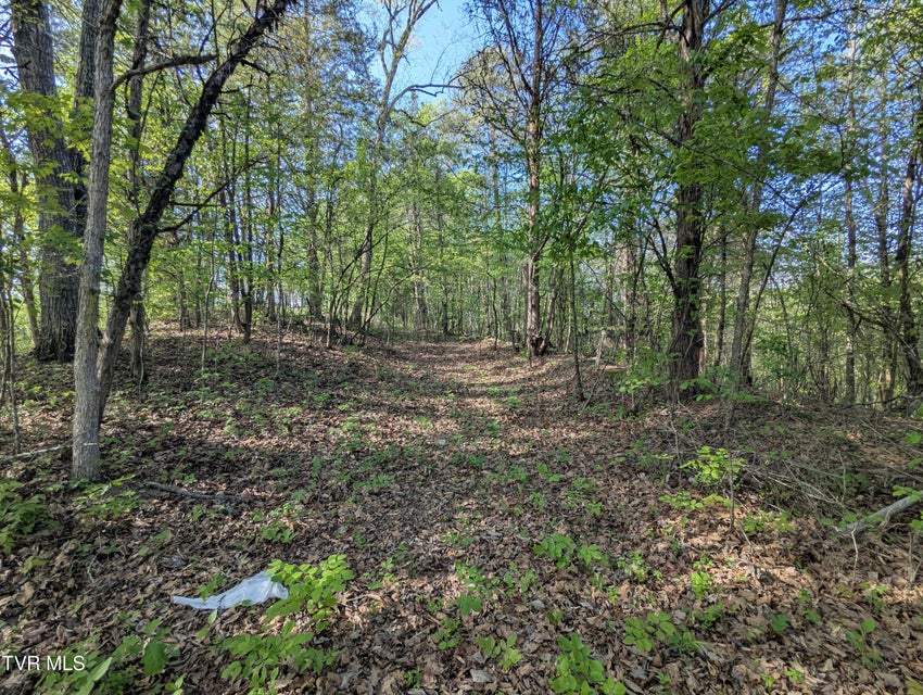 Photo #24: 2424 Midway Road