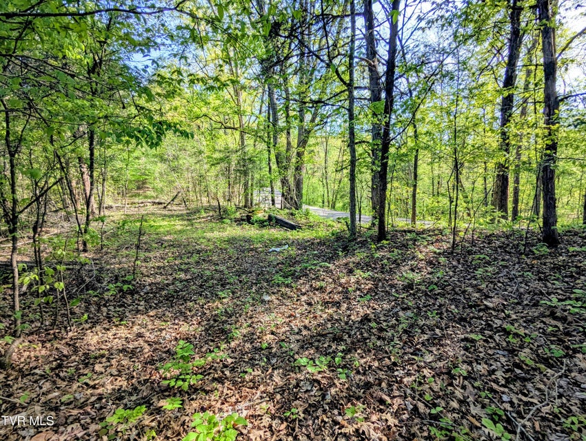 Photo #25: 2424 Midway Road