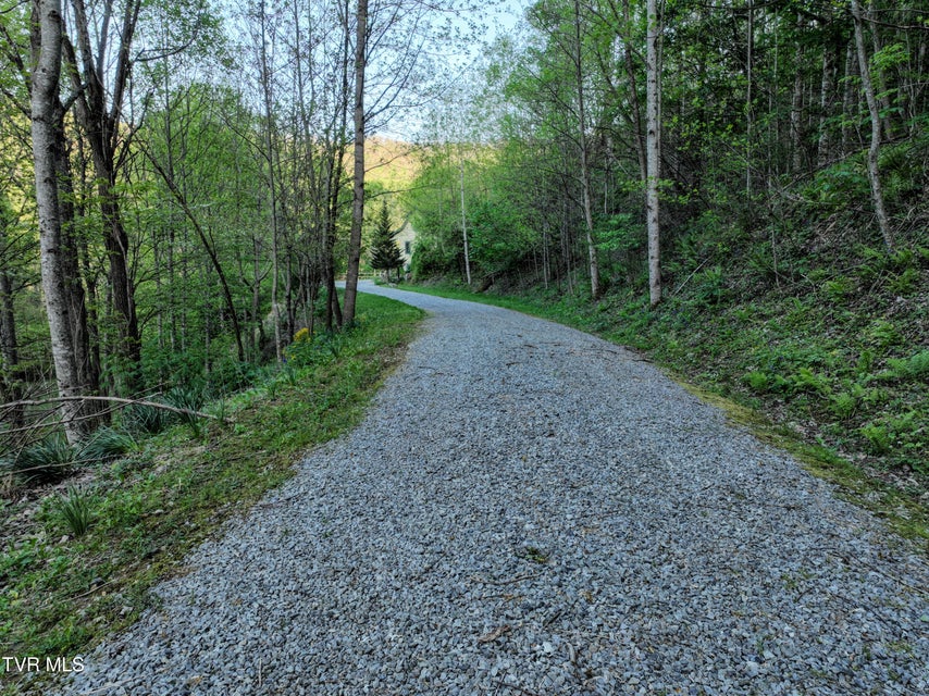 Photo #87: 410 Eagle Ridge Road