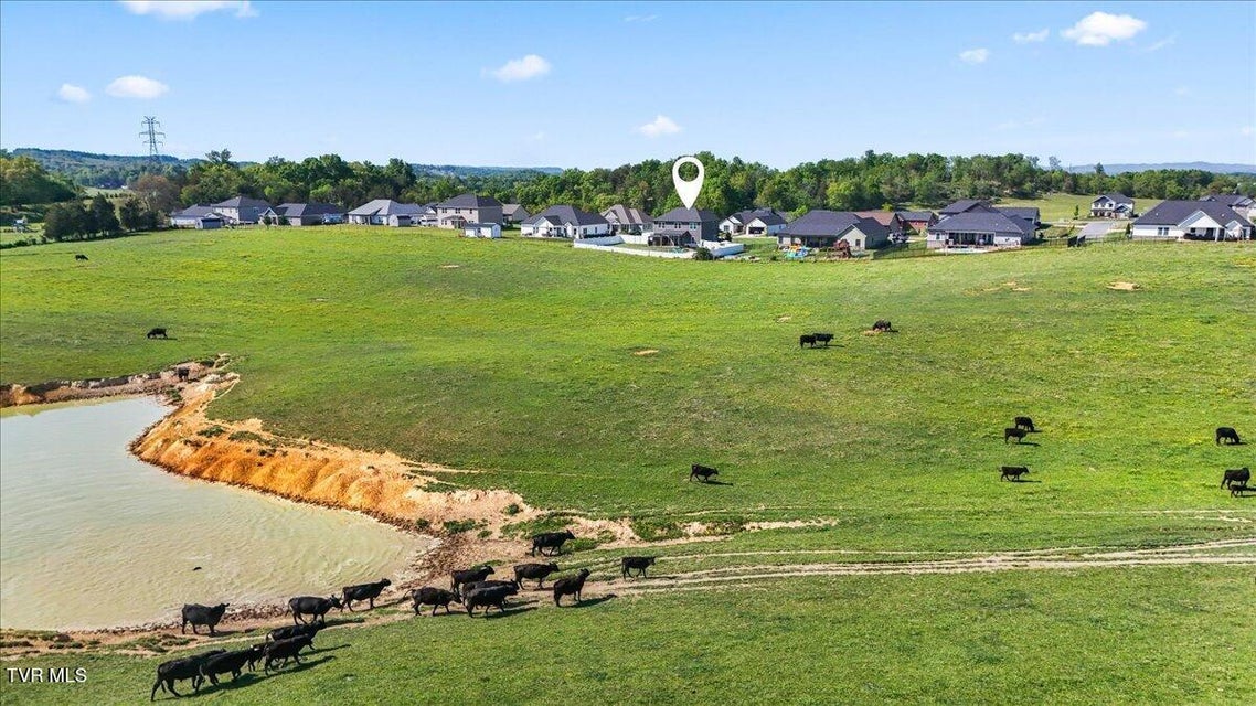 Photo #45: 433 Boulder Court