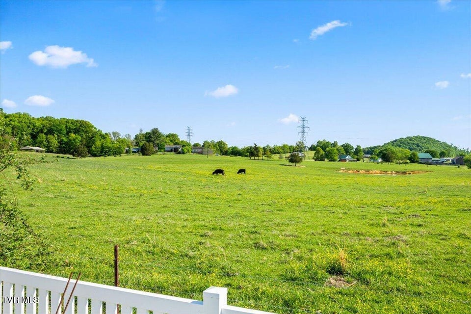 Photo #42: 433 Boulder Court