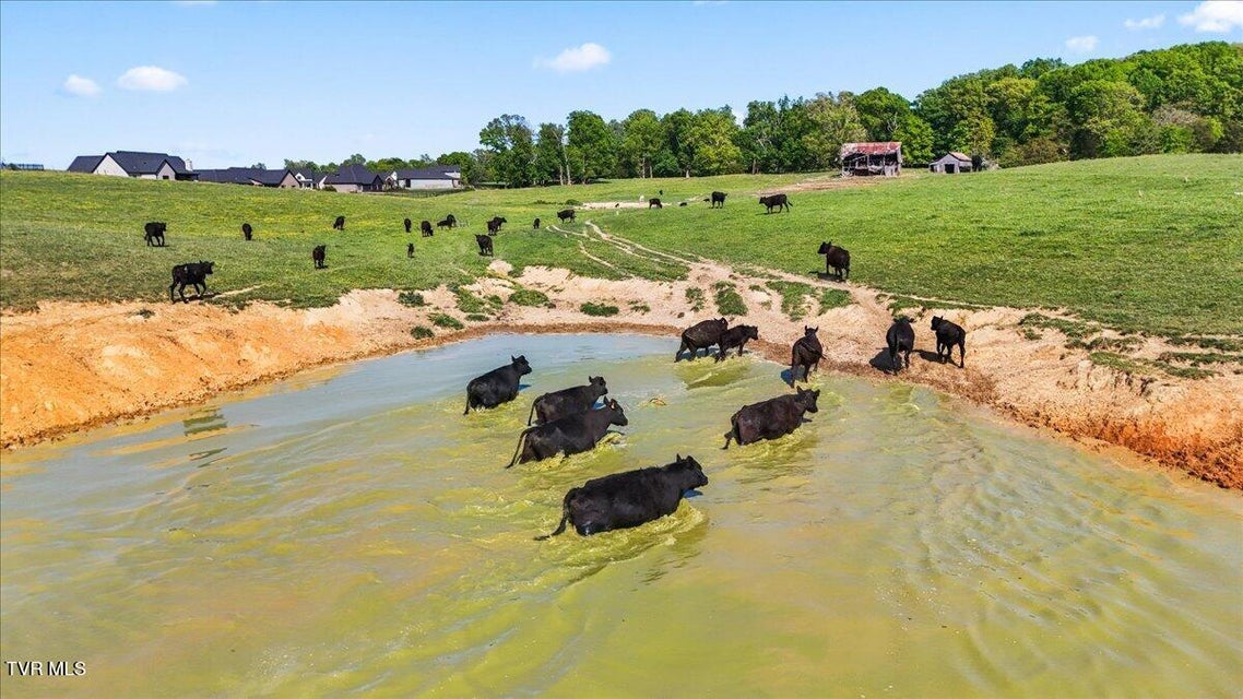 Photo #49: 433 Boulder Court