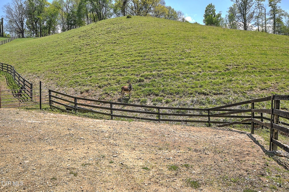 Photo #86: 146 Bear Cage Road