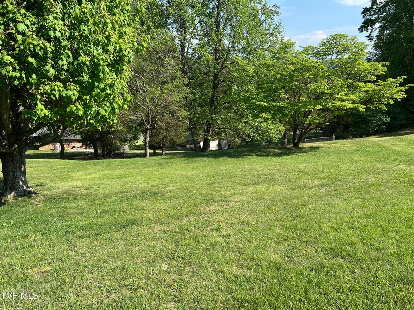 Photo #71: 737 Foothills Road