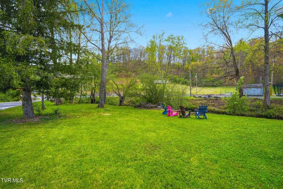 Photo #29: 110 Little League Road