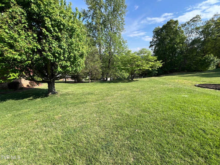 Photo #6: 737 Foothills Road