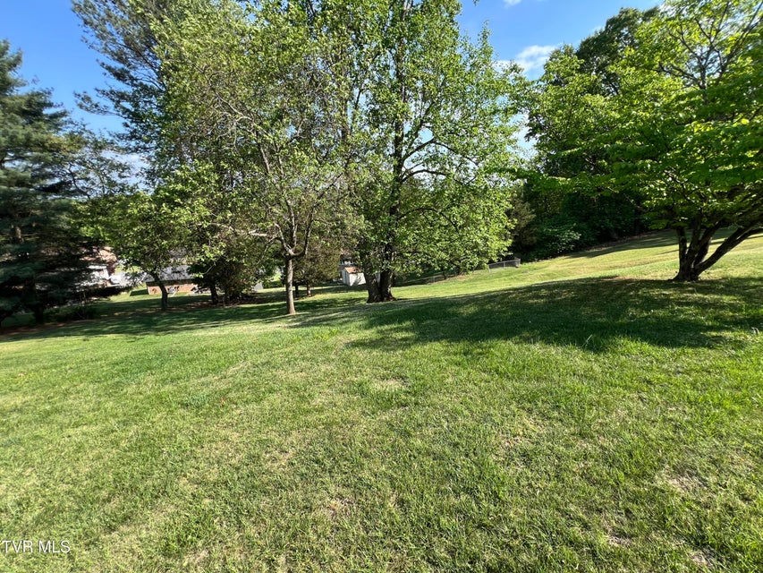 Photo #72: 737 Foothills Road