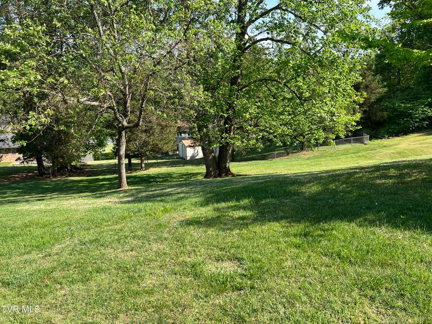 Photo #73: 737 Foothills Road