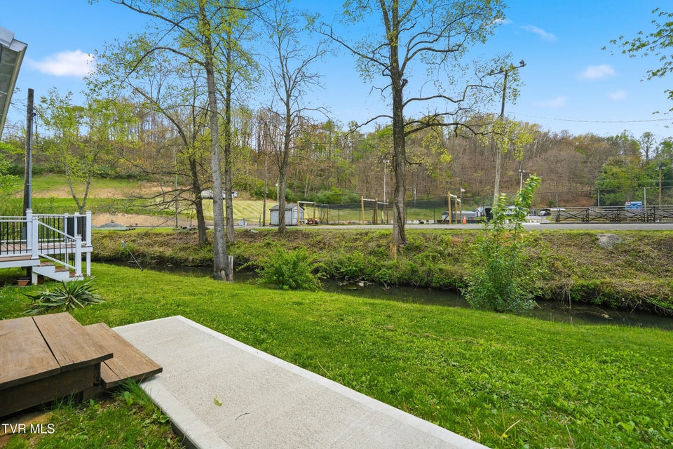 Photo #34: 110 Little League Road