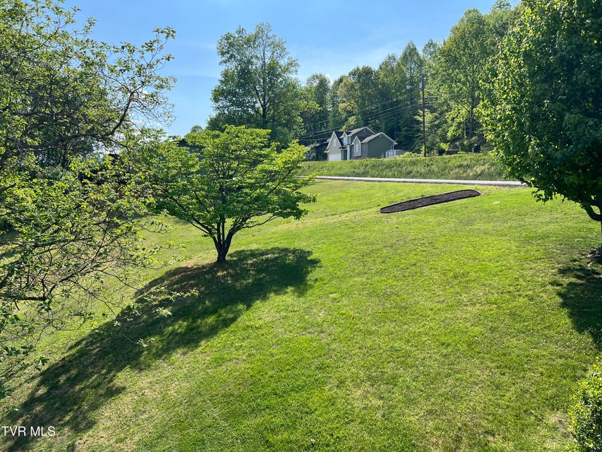 Photo #74: 737 Foothills Road