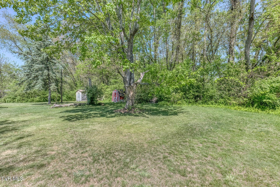 Photo #26: 171 Reedy Street