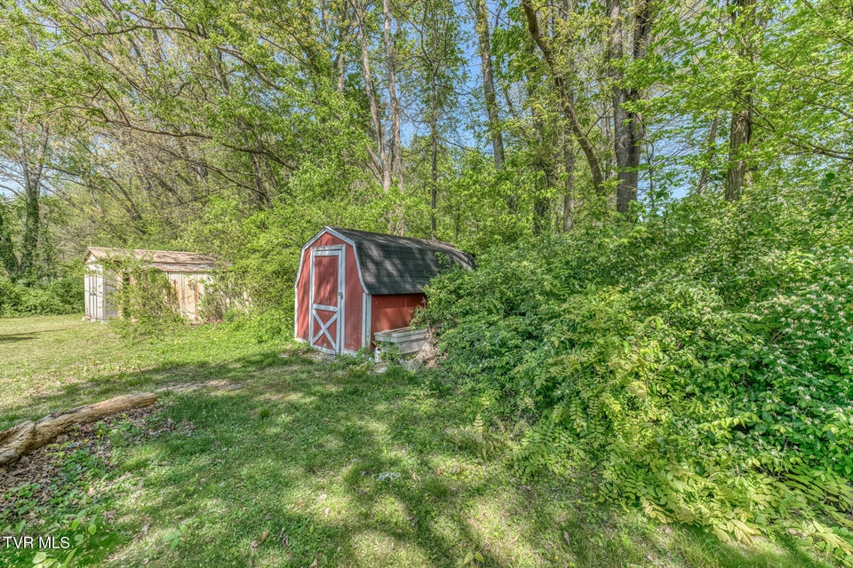 Photo #28: 171 Reedy Street