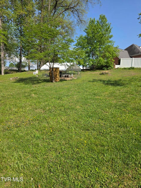 Photo #46: 617 Vance Drive