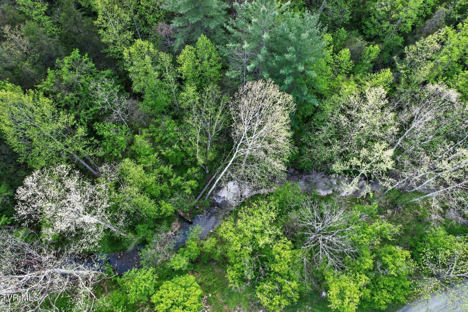 Photo #4: Tbd Mill Creek Road