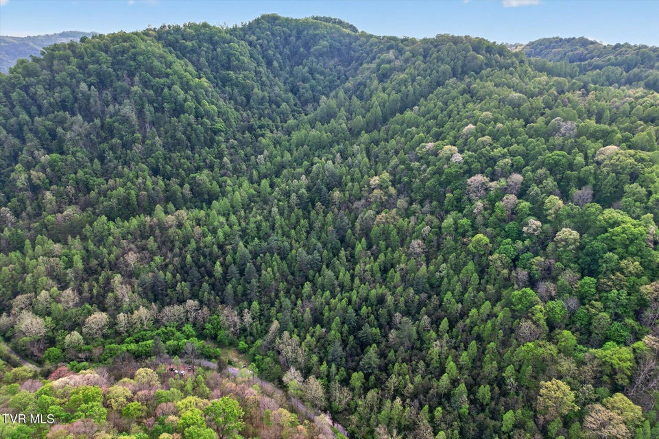 Photo #7: Tbd Mill Creek Road