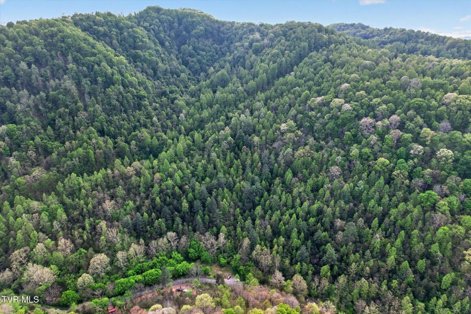 Photo #8: Tbd Mill Creek Road