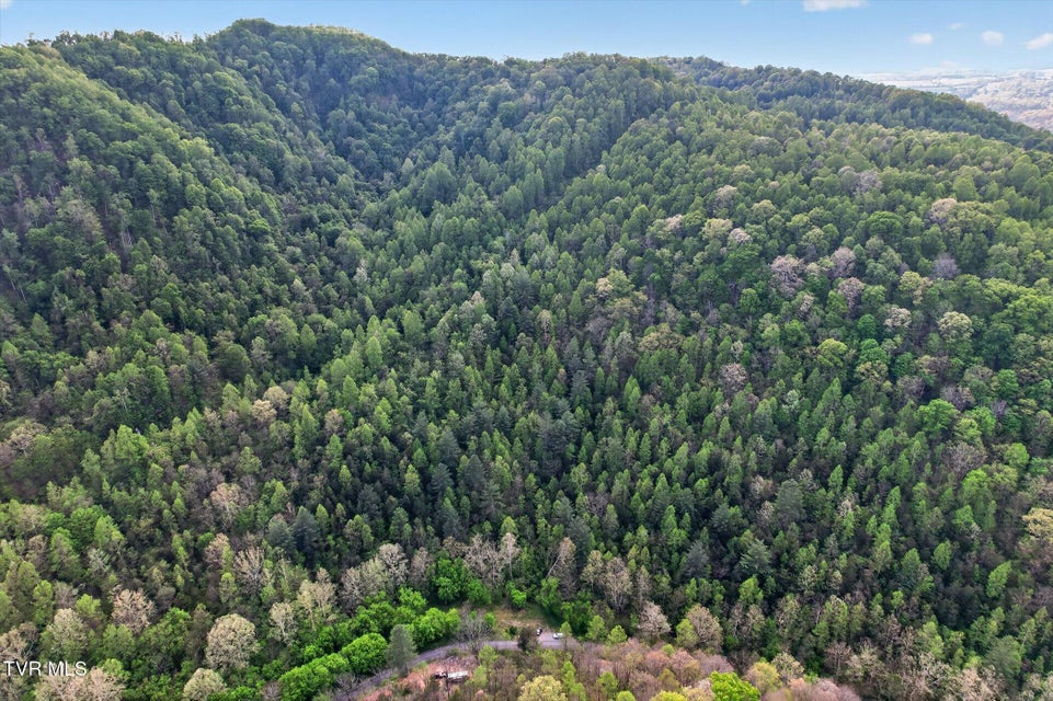 Photo #9: Tbd Mill Creek Road