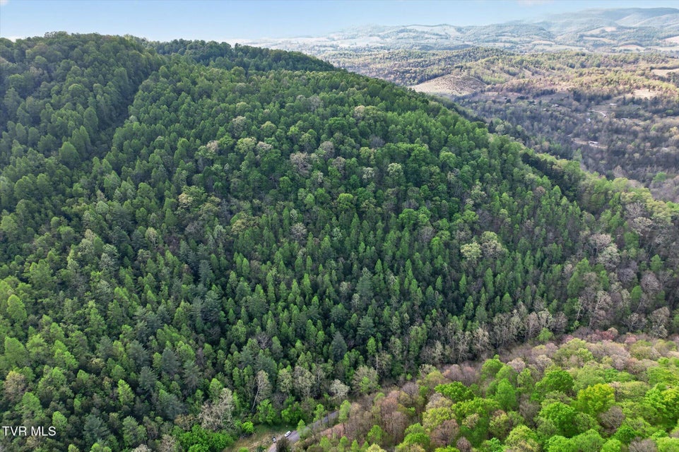 Photo #10: Tbd Mill Creek Road