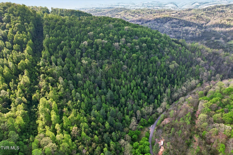 Photo #11: Tbd Mill Creek Road