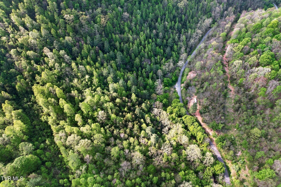 Photo #6: Tbd Mill Creek Road